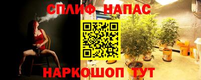 мдпв Долгопрудный