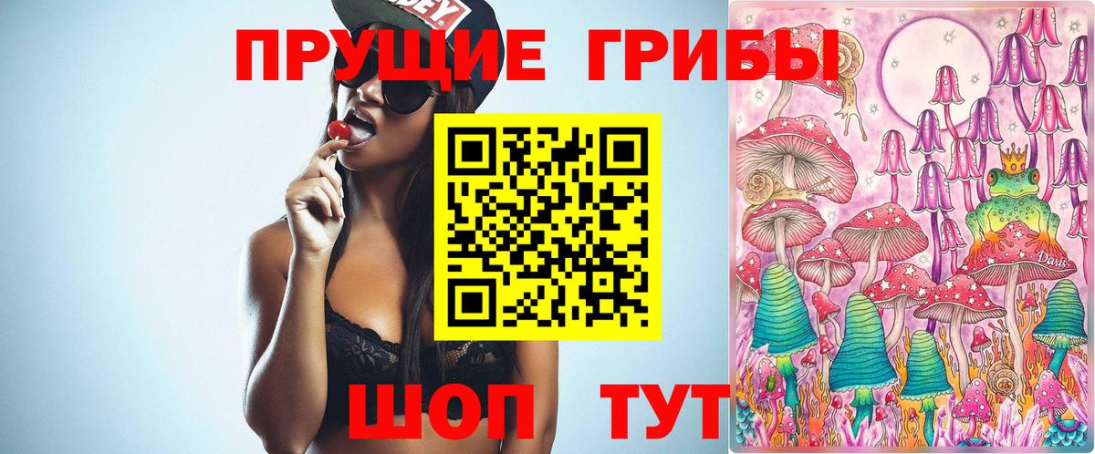 Кувандык  Псилоцибиновые грибы MAGIC MUSHROOMS  Псилоцибиновые грибы Magic Shrooms  Вход с VPN 